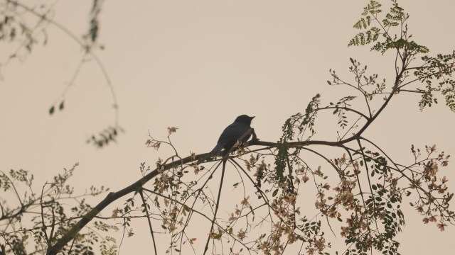 "That is brilliant news."