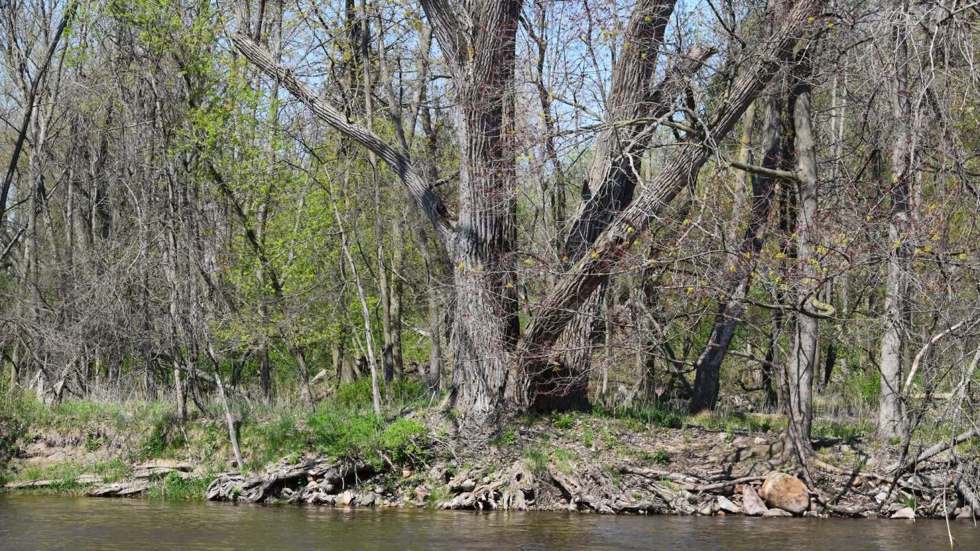 "We create this umbrella of protection."