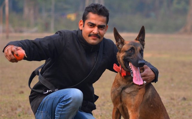 This criminal activity is now occurring on an organized scale.