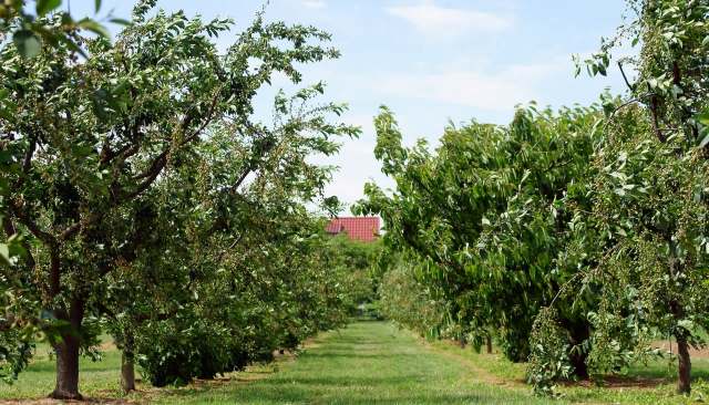 "Make sure you're checking in with farmers."