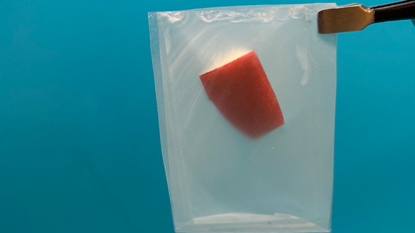 "Multilayer structure."