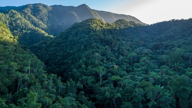 "This marks the beginning of a process of taking control."