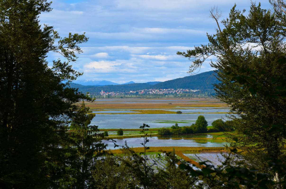 "Many factors affect the dynamics of filling the lake."