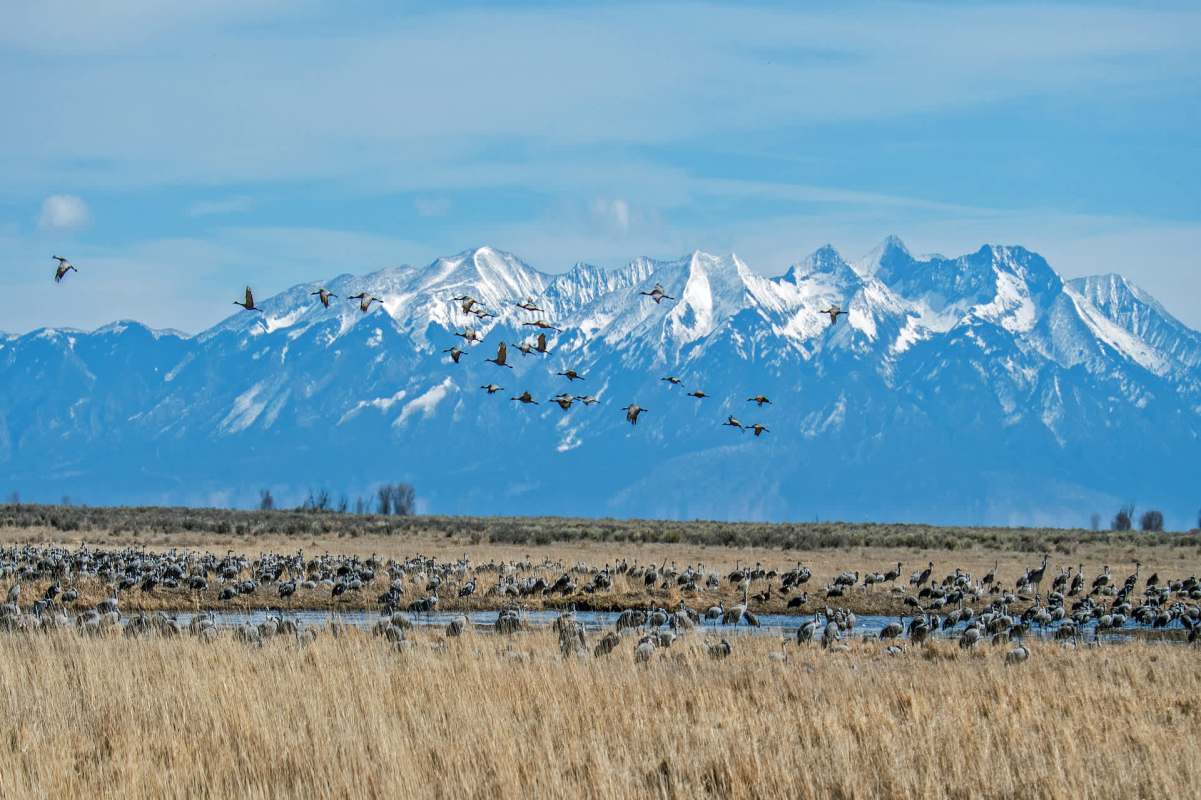 "Highly vulnerable."