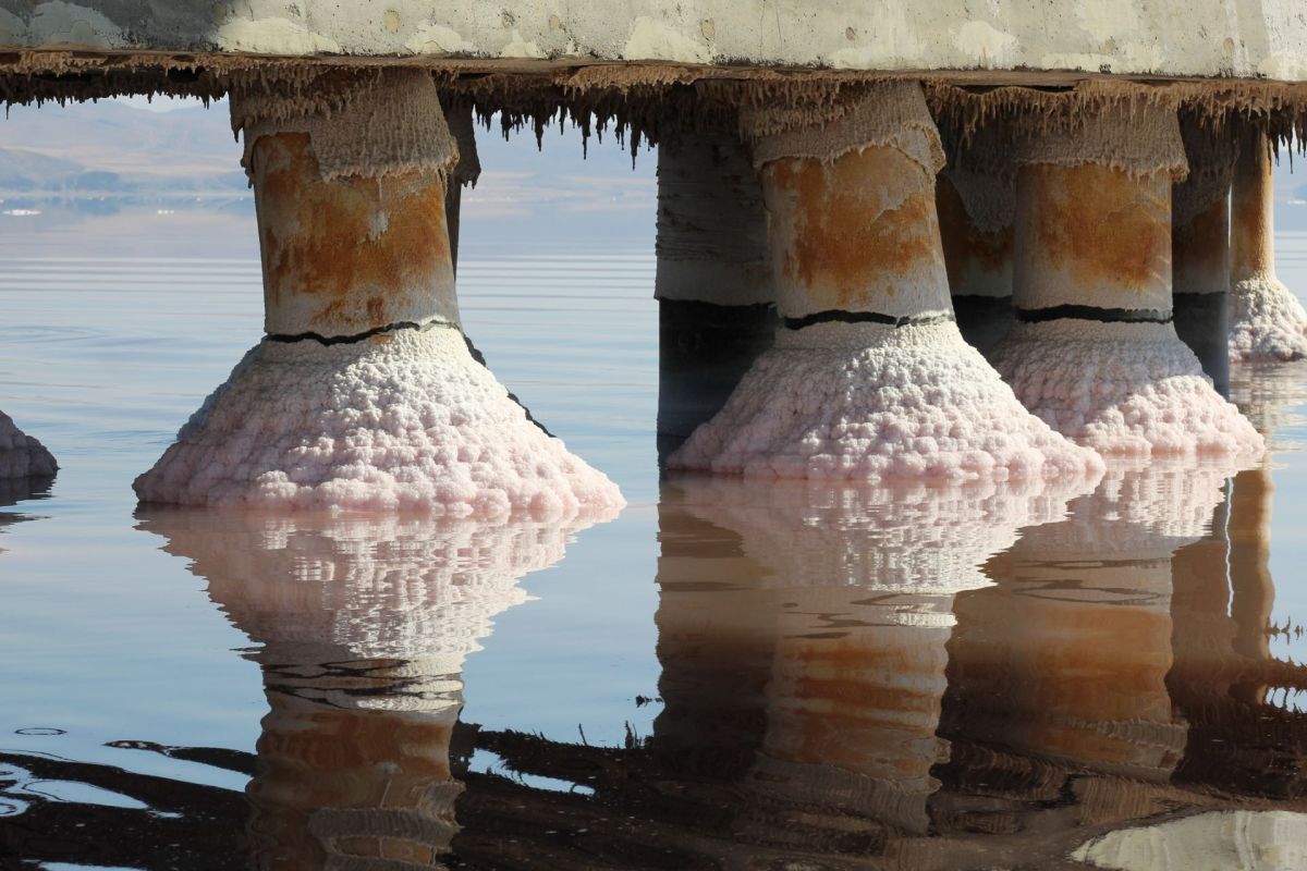 The government has taken action to try to save the lake.