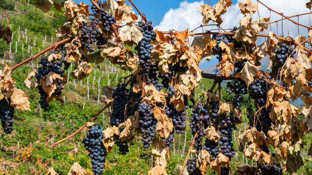 "You look left and right, and everything is broken."