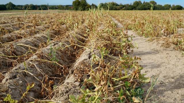 For consumers, this means higher prices at the grocery store.