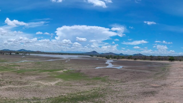 "It’s a distressing sight."