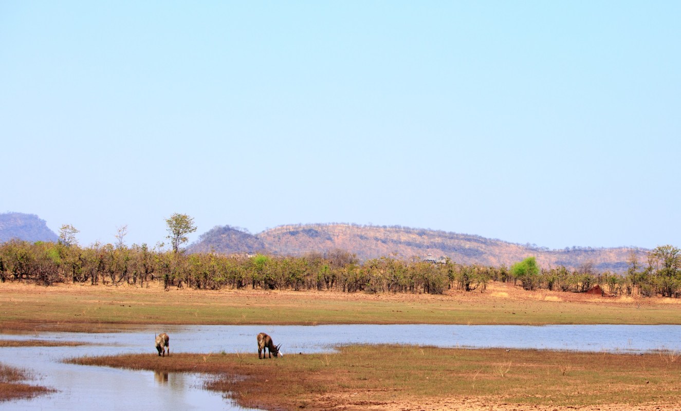 "These operations represent a significant step."