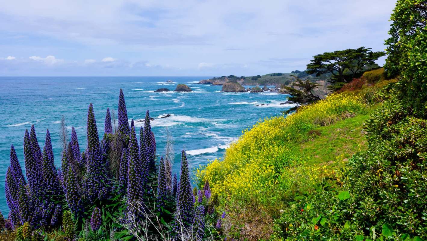 The areas are home to a large number of protected species.