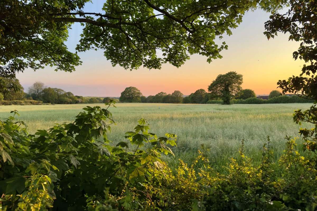 It's a heartwarming story.