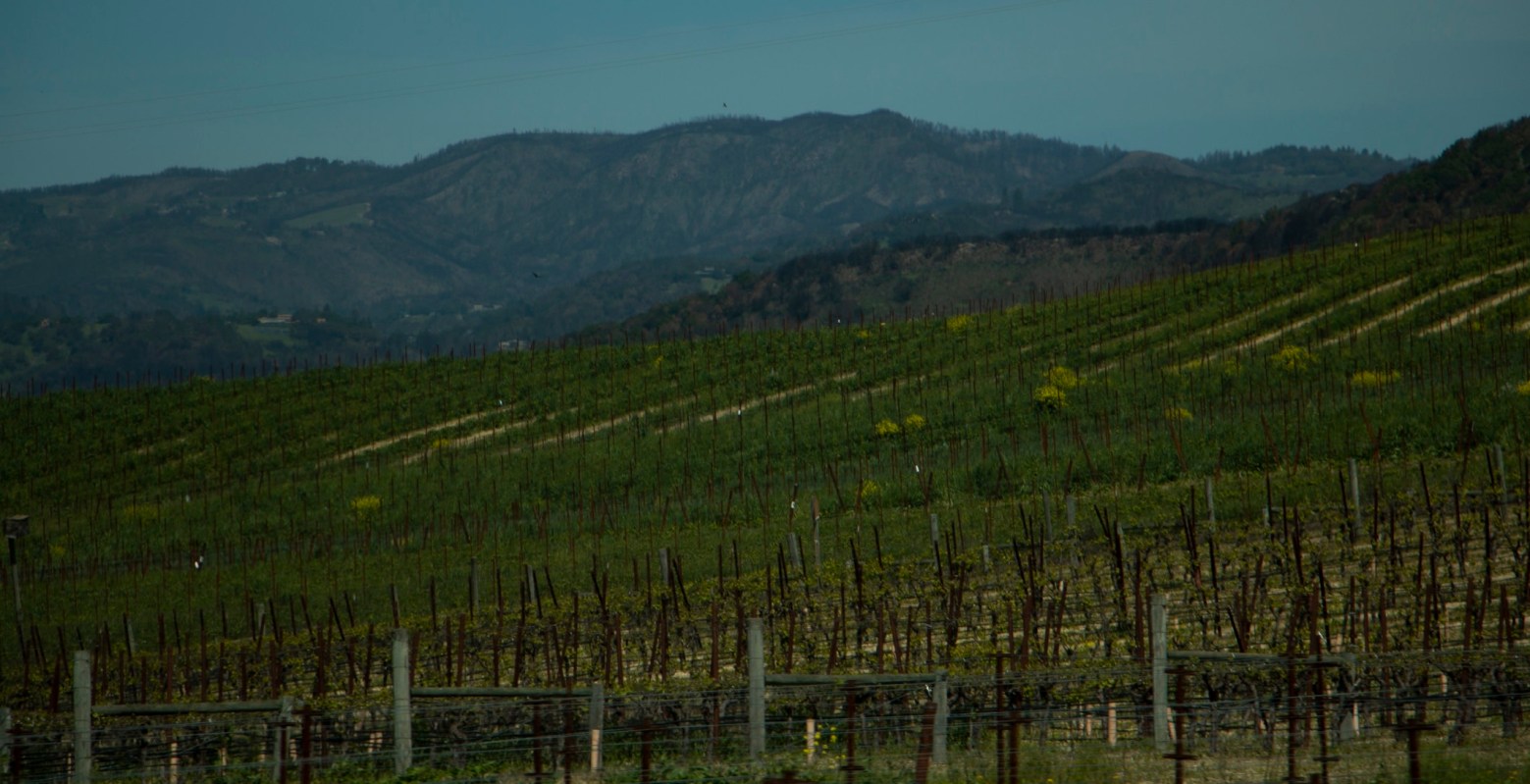 "One of the treasures of the United States."