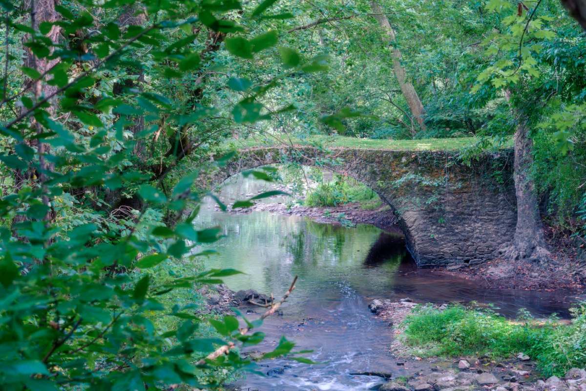 "The species can quickly achieve densities of more than 500,000 ... per square meter."