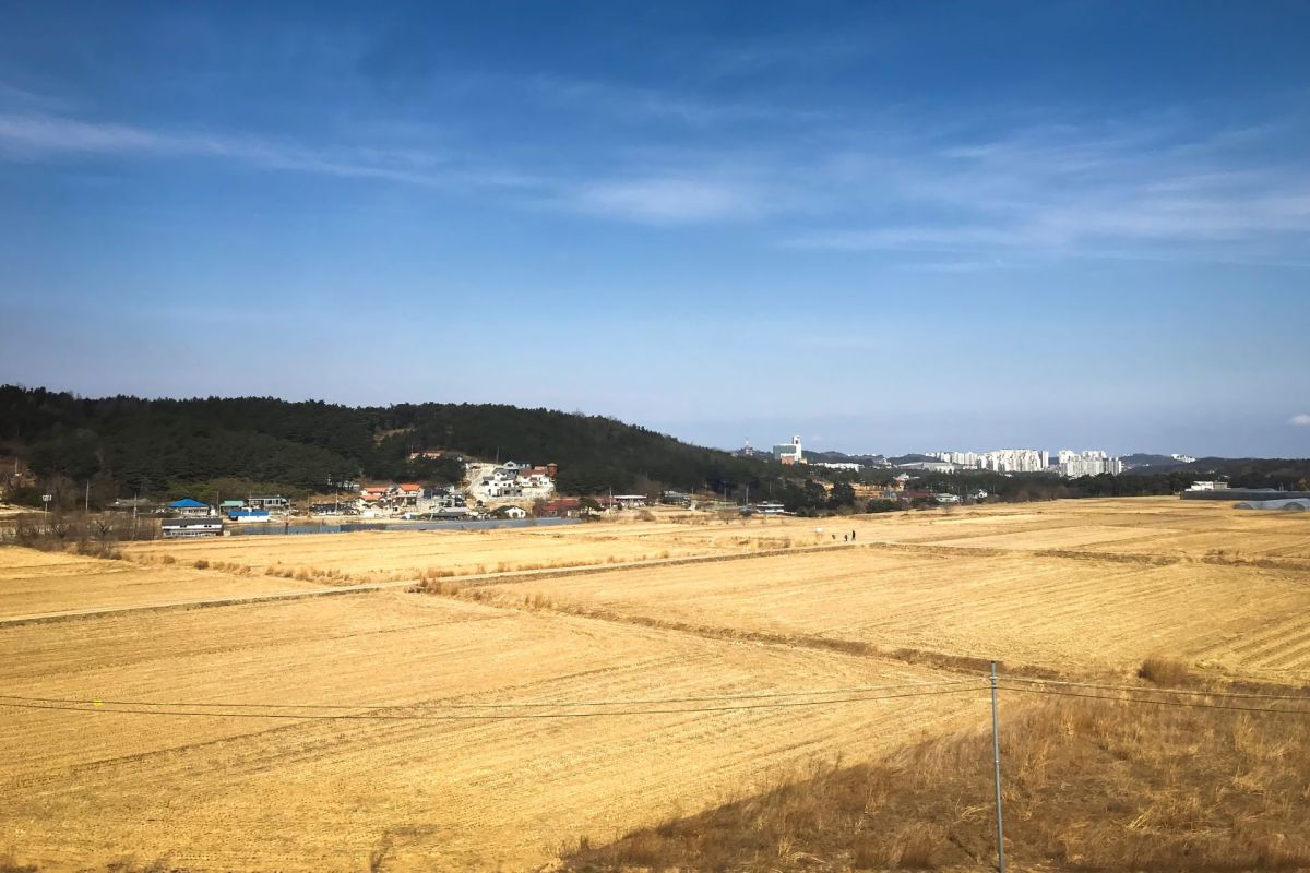 The impact extends beyond just the areas that are directly struck by dry spells.