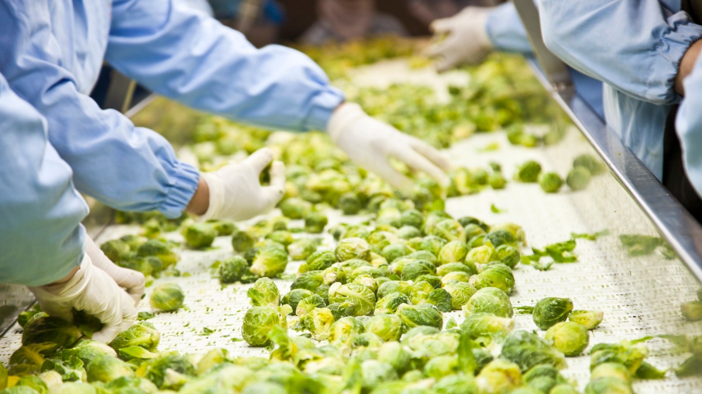 Its operations are growing.