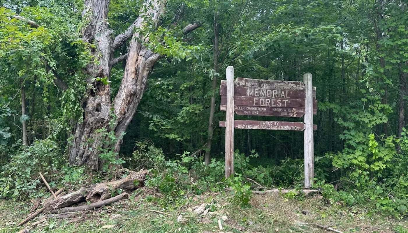 "Now you have to keep visiting, which is a good thing."