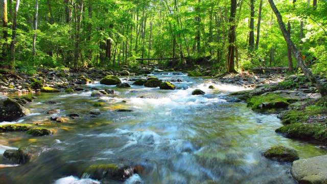 The implications are significant.