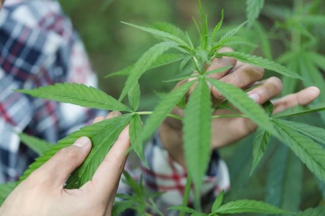 "It’s the million-dollar question."