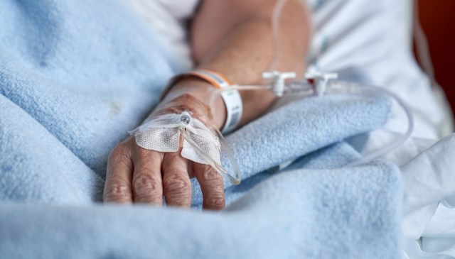 "We hope that our tools can serve as a guide."