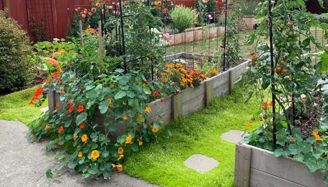 "Cute lil garden buddies."