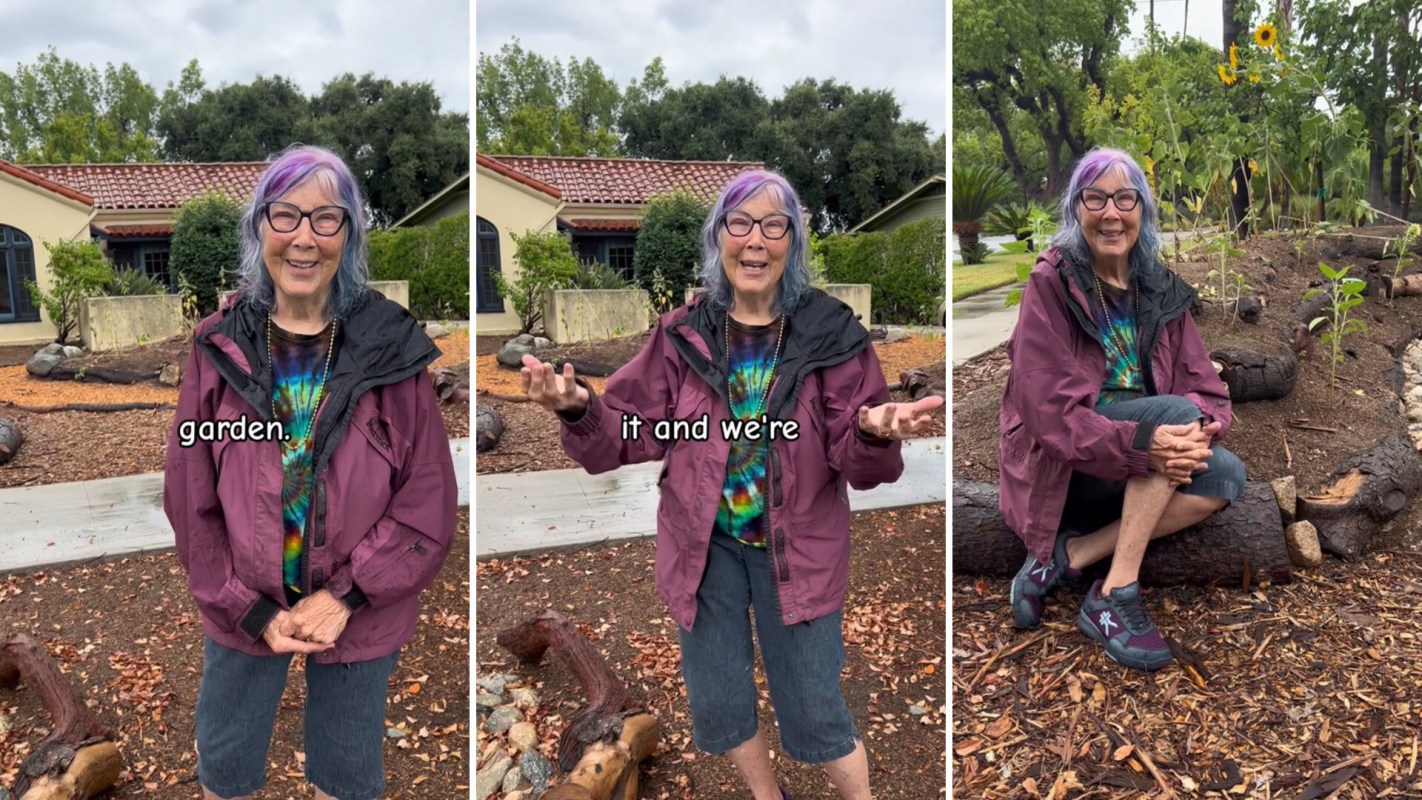 "Love your concept."