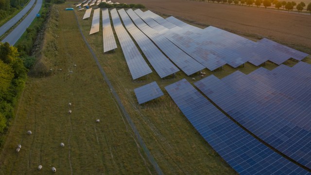 According to FarmAid, many family farms operate on a "razor-thin" profit margin.