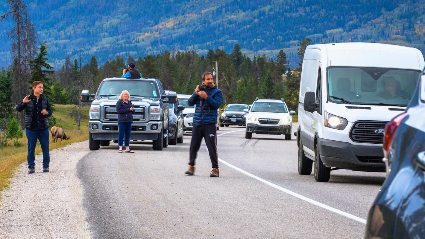 "I seriously hate humans sometimes."