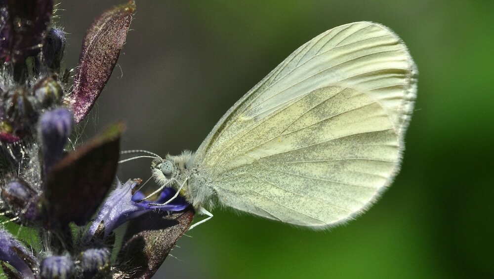 "A real success story."