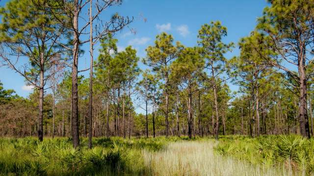 "We're expanding access to the outdoors."