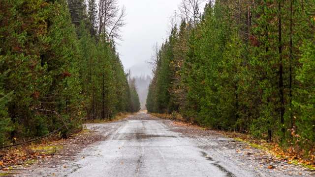 "What a lovely afternoon."