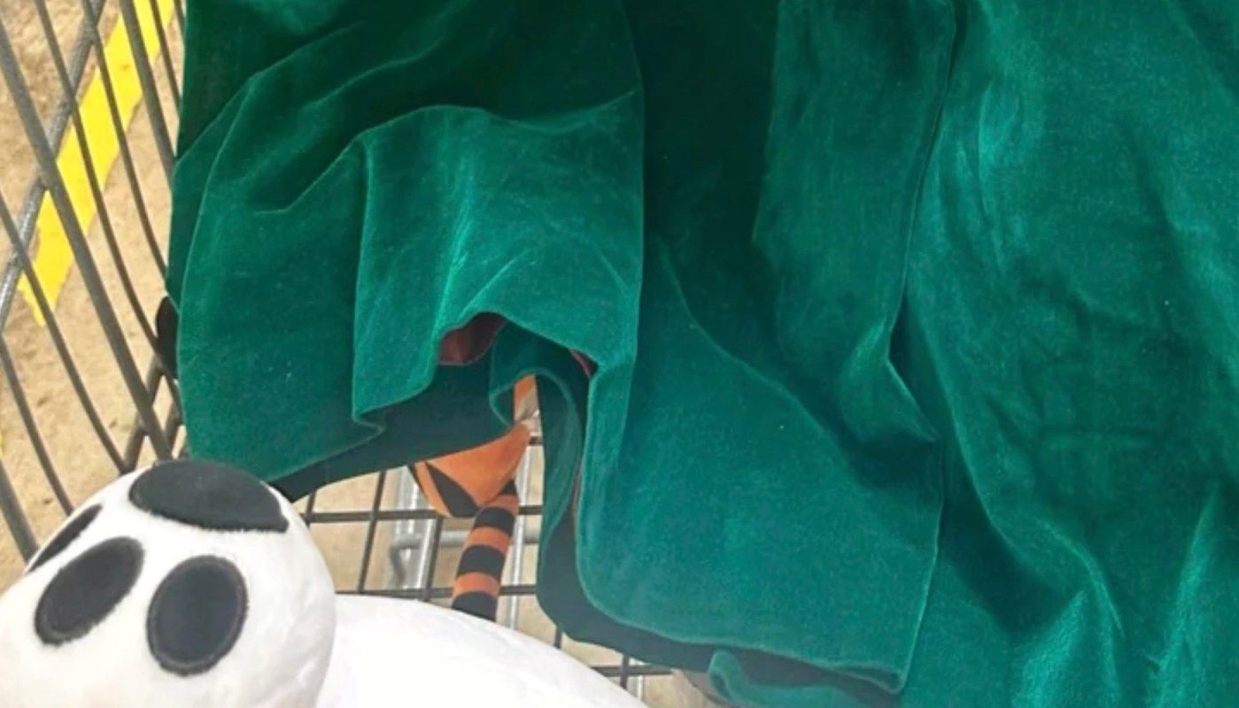 "Absolutely unreal."