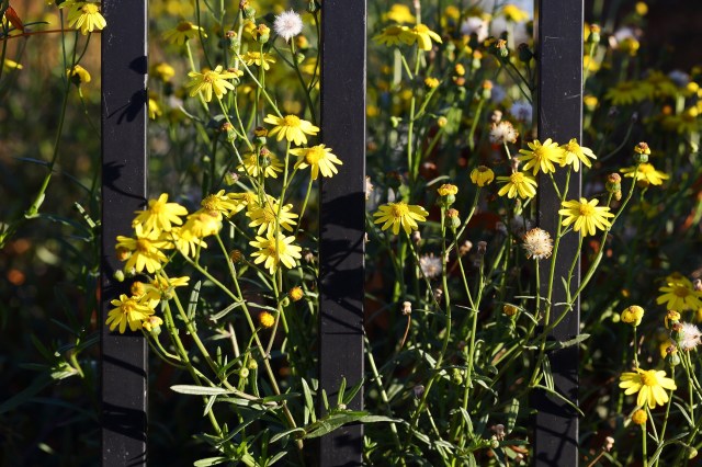 Communities have banded together.