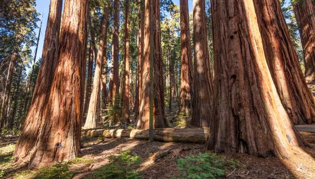 The lure of easy money will always attract unscrupulous individuals.