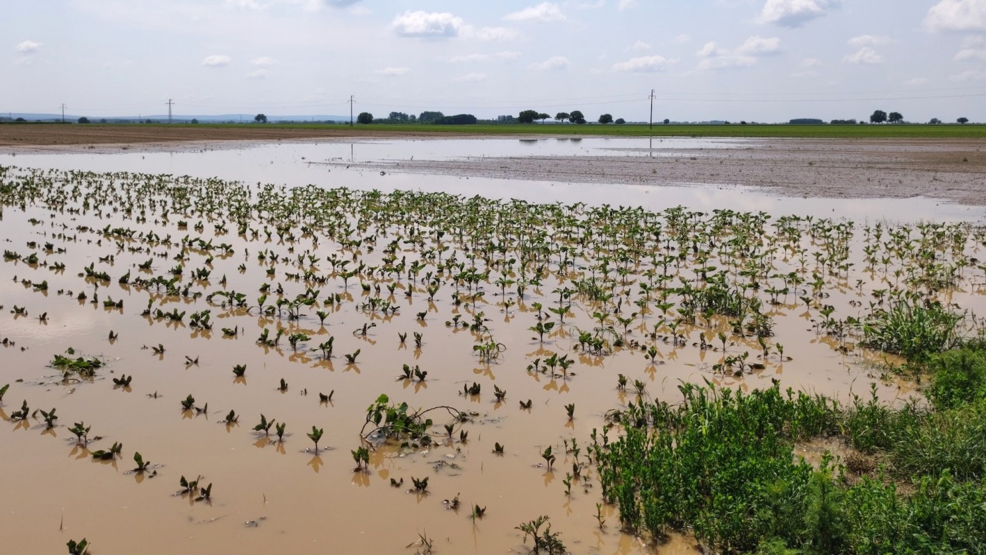 "There has been a lack of a well-thought-out proactive agricultural policy."