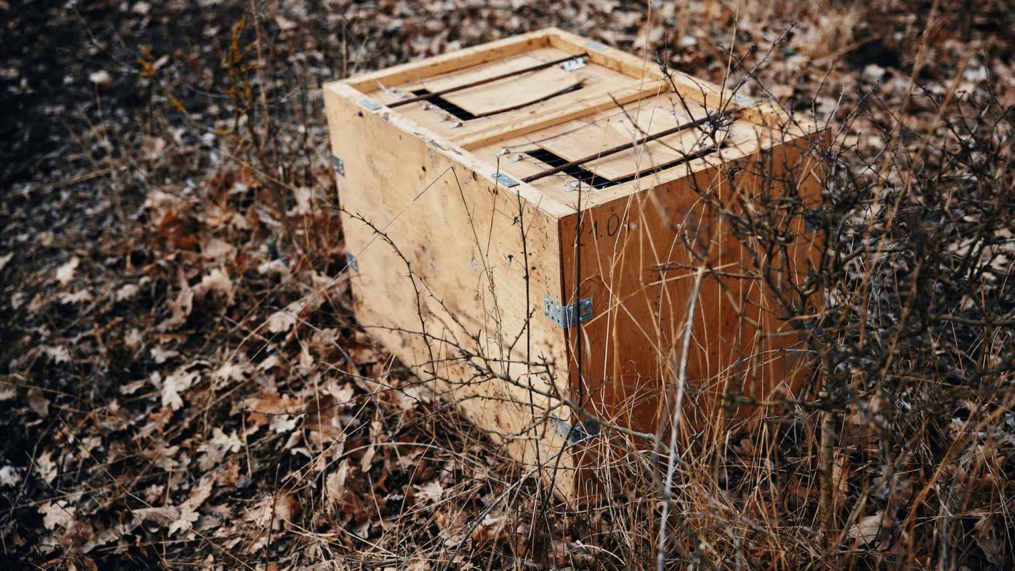 "The rescued animal was taken into custody."