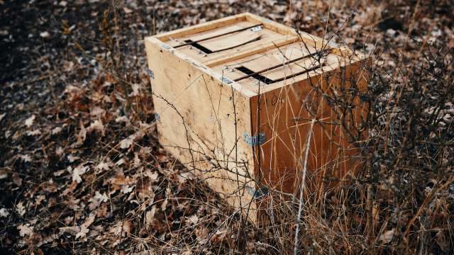 "The rescued animal was taken into custody."