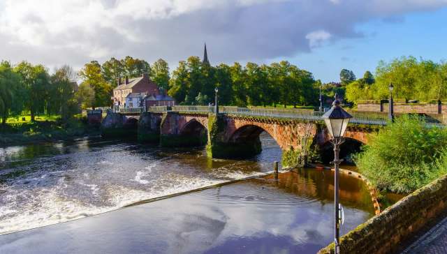 "Precious birds that exist nowhere else on Earth."