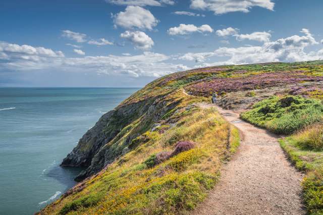 "Another way to say, 'Do nothing.'"