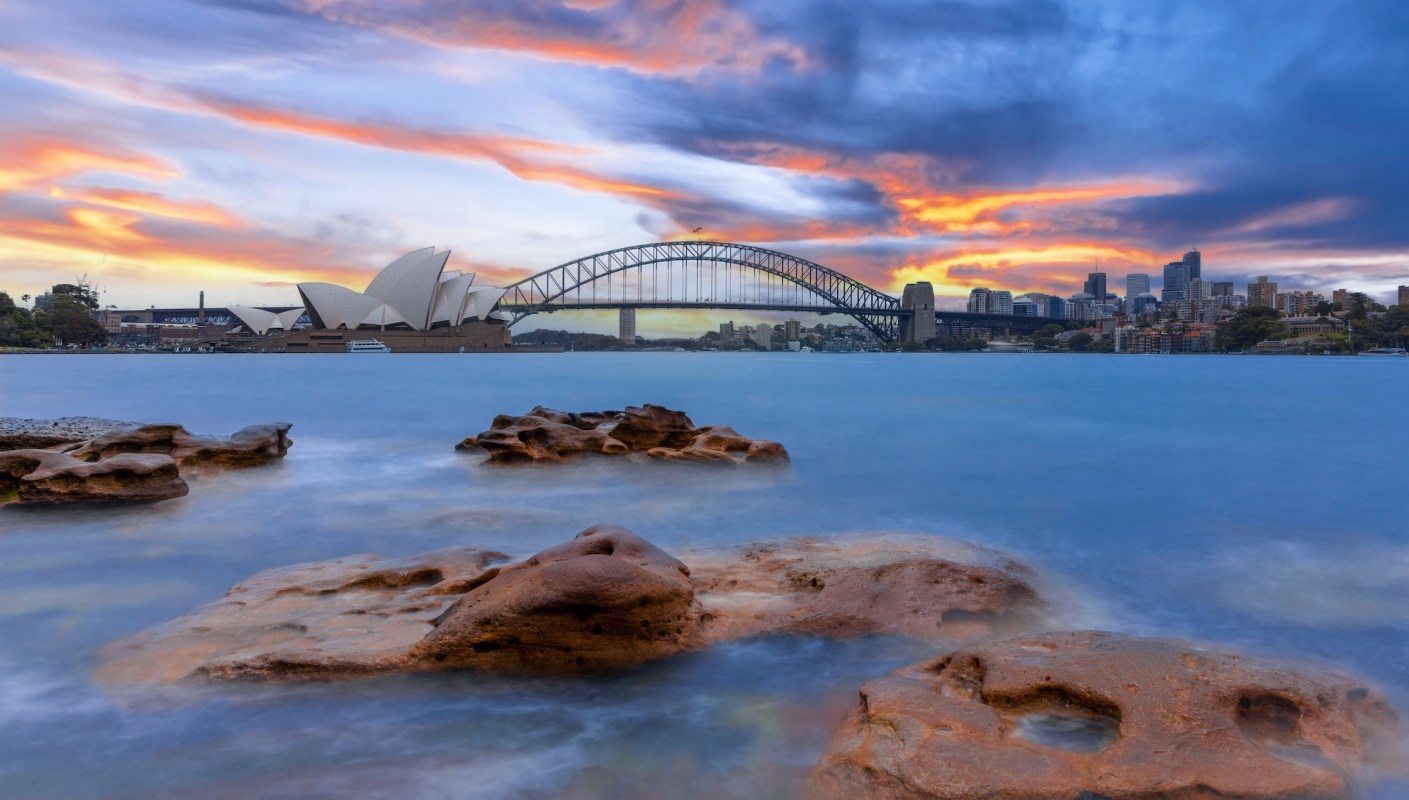 "3D forms supporting a range of species."