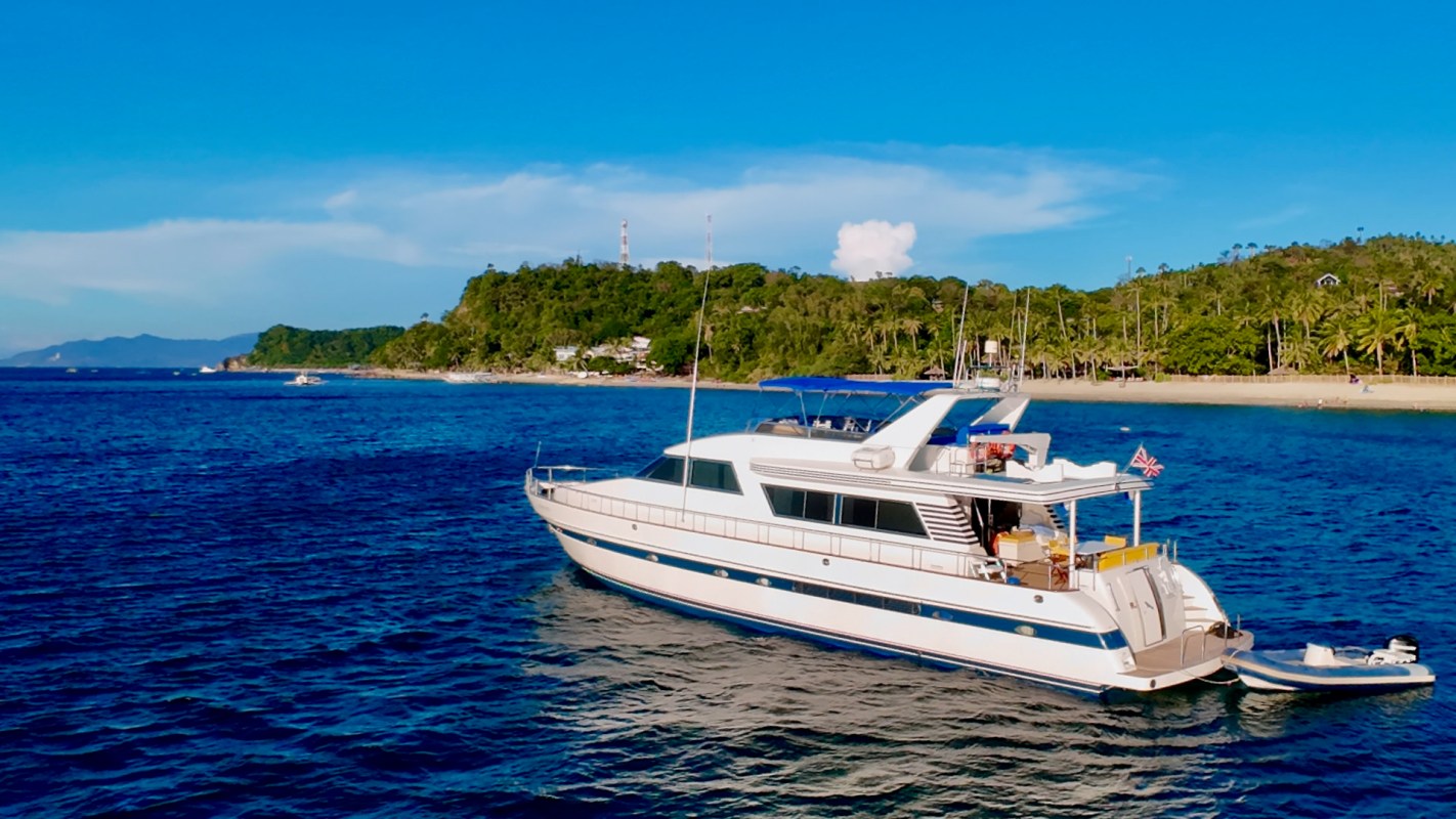 "It's really faster to get rich as a politician than as an artist."