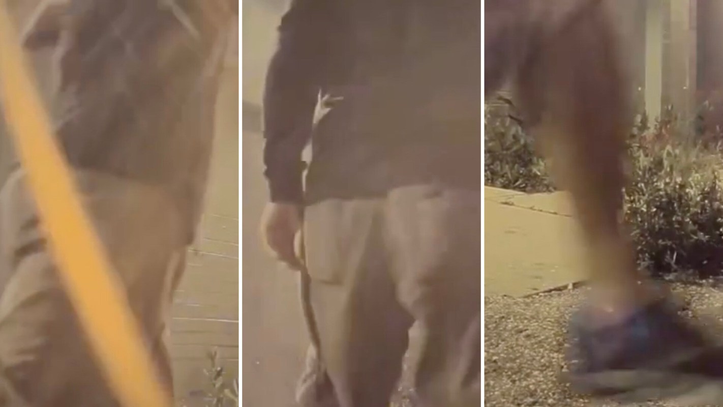 "Glad you found him!"