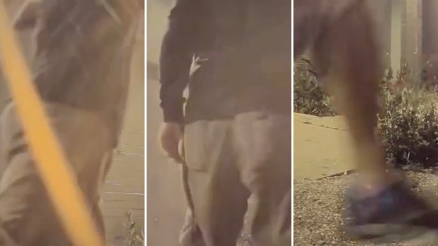 "Glad you found him!"