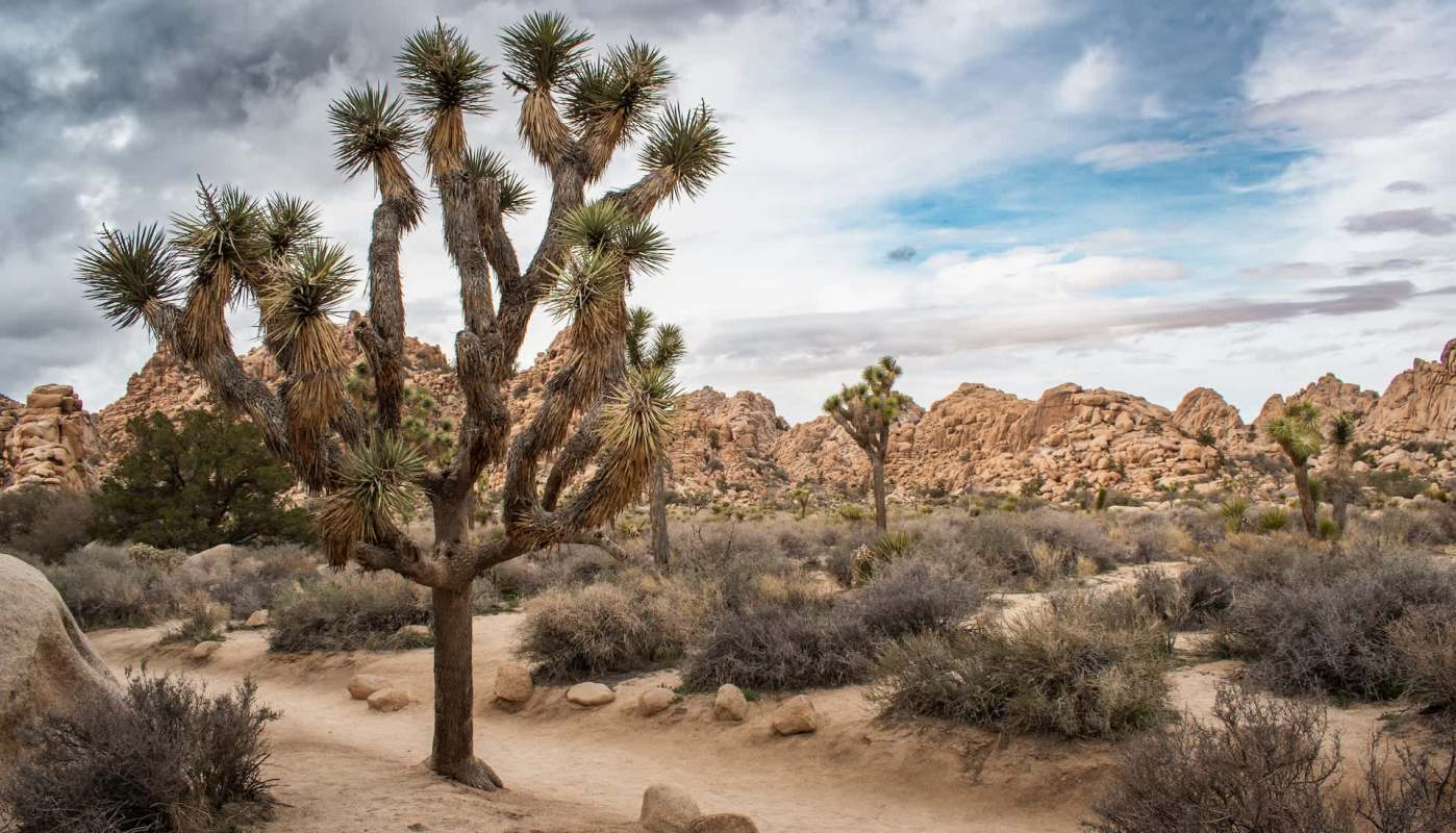 "The whole area is on the chopping block at this point."