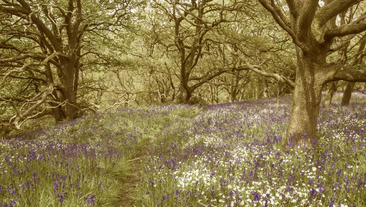 "Has been driven by a combination of factors."