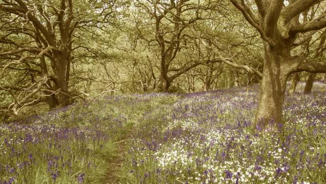 "Has been driven by a combination of factors."