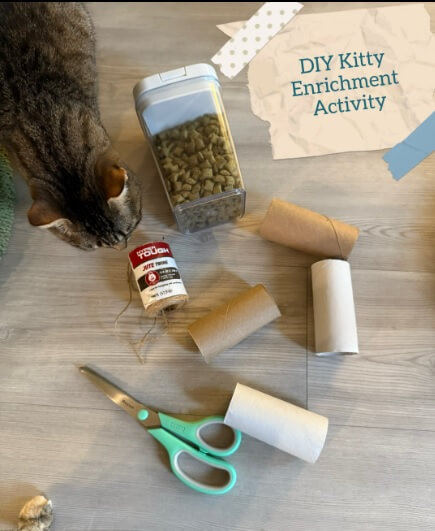 "Thank you for the idea!"