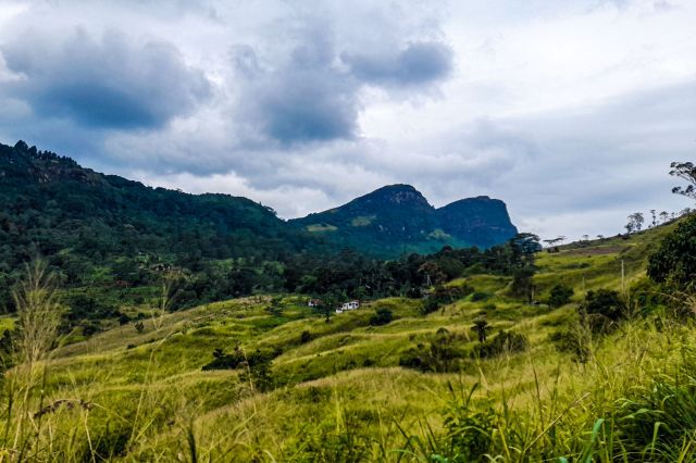 "What we do with that chance will decide whether these species survive the century."