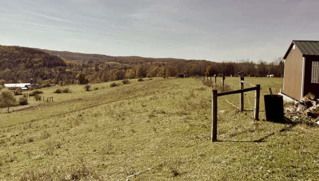 This is an issue being reflected globally.