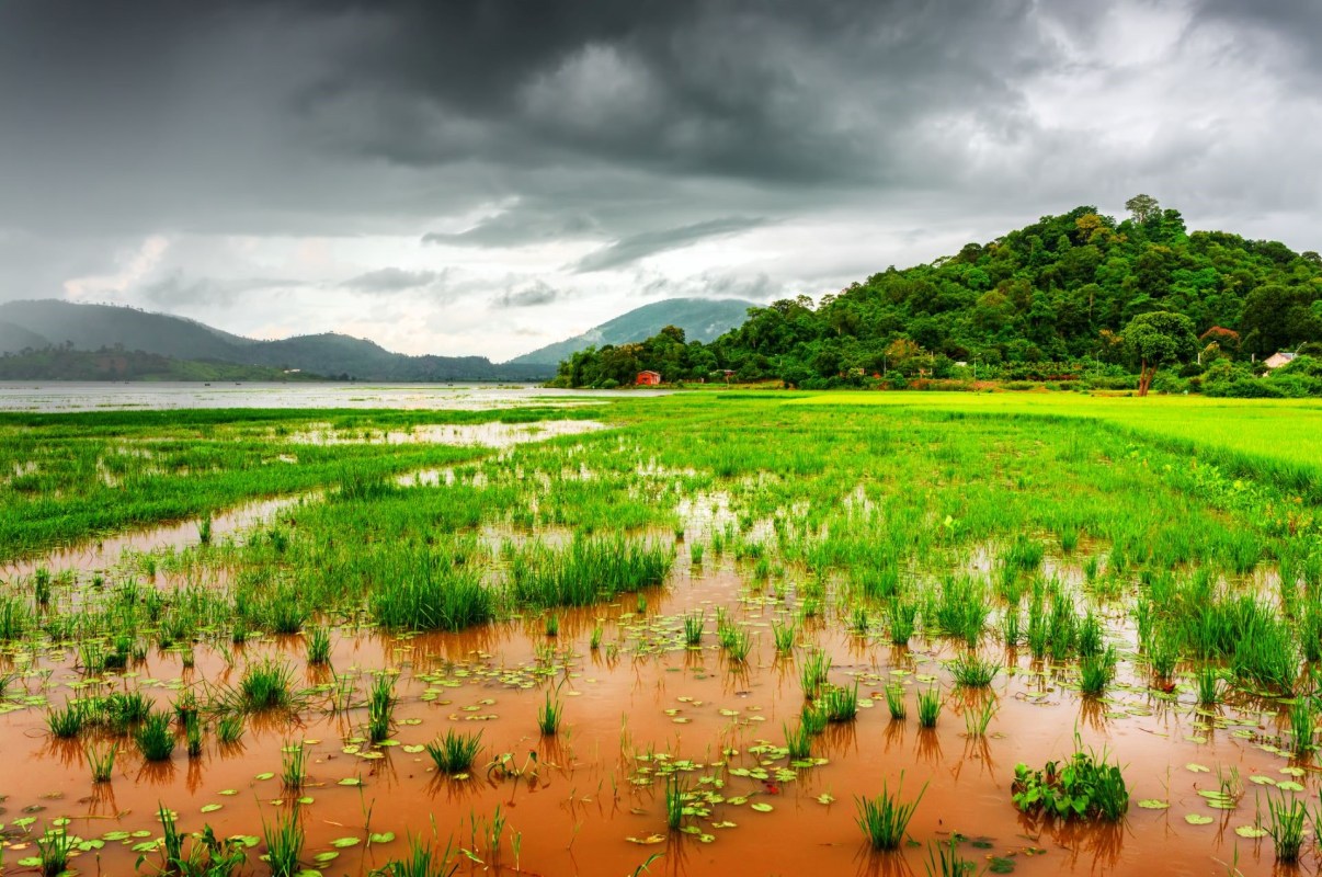 It underscores the immense value that trail cameras bring to conservation efforts.