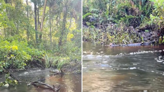 "People like this should never be allowed to own land."